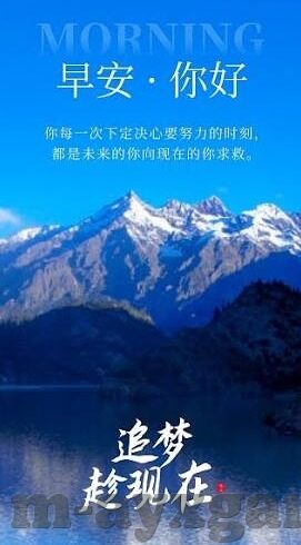 足球竞猜即是比分-足球竞猜，一场比分背后的智慧博弈与心跳加速